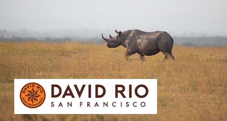 David Rio Chai (Endangered Species) - 16.1oz Canister: Black Rhino Cocoa