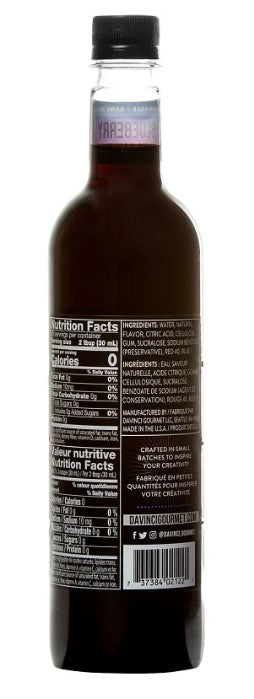 Davinci Sugar Free Flavored Syrups - 750 ml. Plastic Bottle: Blueberry