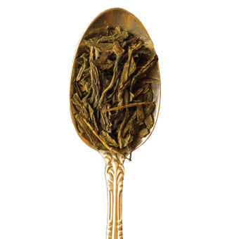 Two Leaves Tea: Organic Sencha Green - Loose Tea in a Cylinder